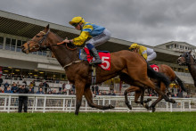 Des jockeys en pleine course hippique - 2025 - (Photo d'illustration)