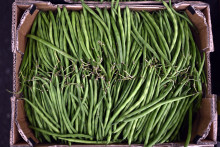 Des haricots verts (image d'illustration).