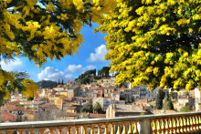 Fondé au XIIe siècle et perché à 145 mètres d’altitude, Bormes-les-Mimosas-Village a conservé son caractère médiéval intact.