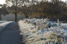 Des gelées matinales (image d'illustration).