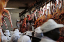 Abattoir (Image d'illustration)