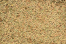 Des lentilles (illustration)