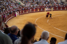 Un matador espagnol lors d’une corrida "Picassiana" dans les arènes de la Malagueta, à Malaga, le 15 août 2024.