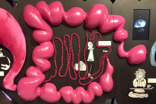 Lorsque notre intestin devient notre deuxième cerveau