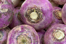 Des navets (Illustration)