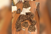 Le déguisement d'ours utilisé pour une tentative de fraude à l'assurance, retrouvé chez un des suspects en Californie.