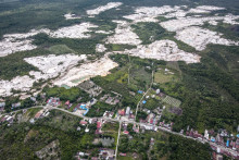 En Indonésie, une forêt rasée pour une entreprise "neutre en carbone" (image d'illustration)