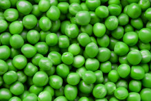 Des petits pois (illustration)