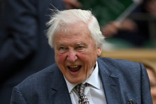 David Attenborough, en 2024