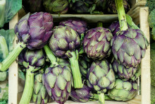 Artichauts violets (image d'illustration)