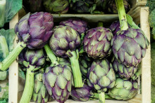 Artichauts violets (image d'illustration)