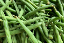 Des haricots verts