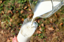 Du lait dans un verre. (Illustration)