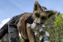 La vidéo d'un thérian posté sur le réseau social TikTok.