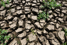 Des fissures dans le sol asséché. (Illustration)