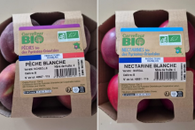 Des fruits rappelés dans toute la France par Carrefour