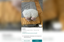 Une annonce sur Vinted
