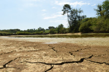 Un étang victime de la sécheresse près de Monfort-en-Chalosse (Landes), le 3 août 2022.