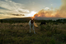 Cette photographie montre un cheval debout dans un pré alors qu'un incendie de forêt ravage Pouzols-Minervois, dans le sud-ouest de la France, le 1er juillet 2026.