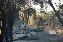 Les dégâts d'un incendie de l'Ille-sur-Têt