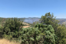 La reprise de feu dans le secteur de Trévillach, dans les Pyrénées-Orientales ce mercredi 8 juillet.