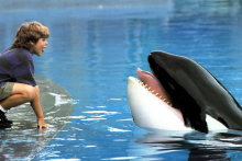 L'acteur Jason James Richter et l'orque Keiko dans "Sauvez Willy", sorti en 1993