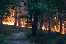 Cette photo, diffusée le 12 juillet 2026 par le SDIS 77, montre un incendie qui fait rage dans la forêt de Fontainebleau.