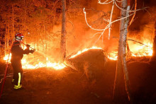 Les pompiers mobilisés en forêt de Fontainebleau, où un incendie fait rage depuis le 12 juillet 2026.
