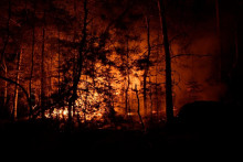 Les pompiers mobilisés en forêt de Fontainebleau, où un incendie fait rage depuis le 12 juillet 2026.