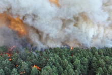 L'incendie en forêt de Fontainebleau a parcouru plus de 300 hectares dimanche 12 juillet.