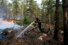 Un pompier intervient lors d'un incendie dans la forêt de Fontainebleau, à Noisy-sur-École, en Île-de-France, le 14 juillet 2026.