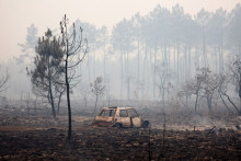 Une voiture et des arbres calcinés suite à un incendie de forêt près du Porge (Gironde), le 23 juillet 2026.