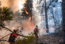 Les sapeurs-pompiers luttant contre les flammes à La Mierla, près de Guadalajar  en Espagne, le 21 juillet 2026.