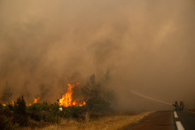 Des pompiers arrosent la lisière d'une forêt lors d'un incendie près de la ville de Lège-Cap-Ferret, dans le sud-ouest de la France, le 25 juillet 2026.