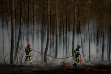 Des pompiers luttent contre un incendie de forêt à Saint-Jean-d'Illac (illustration)