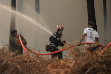 Des pompiers et des volontaires luttent contre un incendie de forêt à Lanton le 29 juillet 2026.