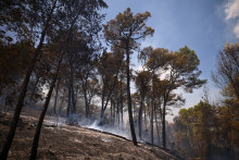Le Var a payé un lourd tribut aux incendies de l'été 2026