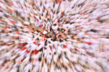 Une feria (photo d'illustration)