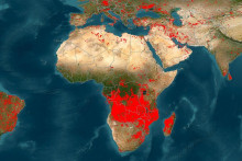 La carte interactive des feux dans le monde de la Nasa du 31 juillet 2026, selon la plateforme FIRMS.