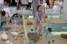 Une jeune fille dans une animalerie en Chine (photo d'illustration)