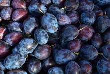 Des prunes. (Image d'illustration)