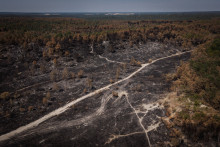 Une vision aérienne de la forêt de Fontainebleau, touchée par un incendie en juillet 2026. Le cliché a été pris le 30 juillet.