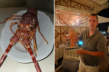 Stéphane Lamart a acheté une langouste dans un restaurant pour la relâcher dans l'eau, sur la Côte d'Azur le 10 août 2026.