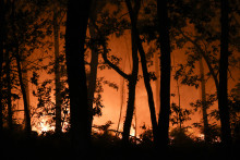 Des arbres entourés par les flammes à Luglon, dans les Landes, le 13 août 2026.