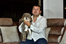 Le chien Salomon, dont la propriétaire est morte dans le séisme en Colombie pour le sauver.