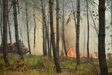Despompiers mobilisés sur le feu de Luglon, dans les Landes, en août 2026.