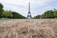 Vue de la tour Eiffel et de l'herbe desséchée du Champ de Mars à Paris, le 15 juillet 2026.