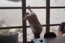 Un habitant de Pomas tient sa baie vitrée pendant la tornade.