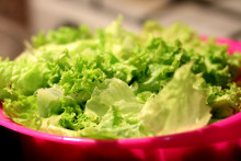 Une salade. (Illustration)
