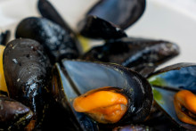 Des moules (illustration)